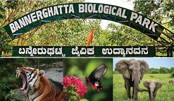 Featured Image of Bannerghatta National Park