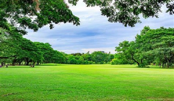 Featured Image of Landscaped Green Areas